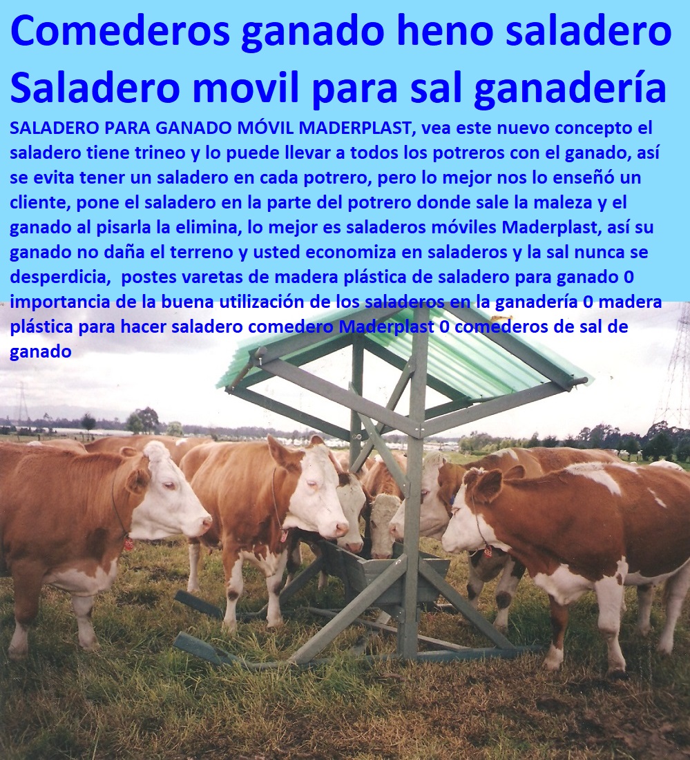 postes varetas de madera plástica de saladero para ganado 0 importancia de la buena utilización de los saladeros en la ganadería 0 madera plástica para hacer saladero comedero Maderplast 0 comederos de sal de ganado postes varetas de madera plástica de saladero para ganado 0 importancia de la buena utilización de los saladeros en la ganadería 0 madera plástica para hacer saladero comedero Maderplast 0 comederos de sal de ganado postes varetas de madera plástica de saladero para ganado 0 importancia de la buena utilización de los saladeros en la ganadería 0 madera plástica para hacer saladero comedero Maderplast 0 comederos de sal de ganado
